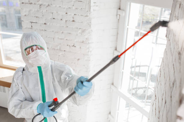 Mold Remediation for Rental Properties in Hughes Springs, TX